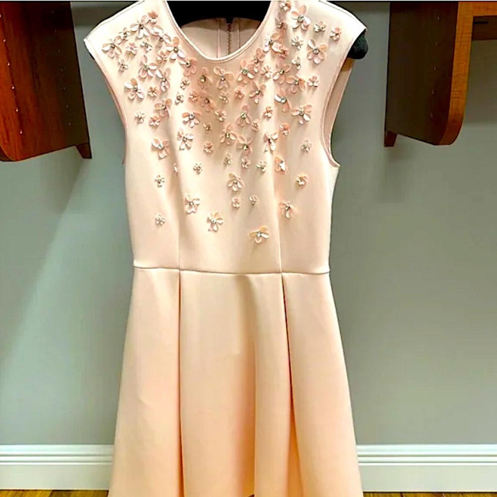 Ted Baker Dress - NWOT, size L